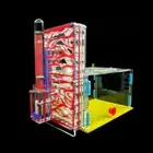 DIY T-Design Feeding Area Acrylic Farm Insect Villa Mania House Ant Bir NOW