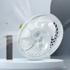 Efficient Air Circulation Ceiling Fan Light for Office Remote Control Fan Lamp