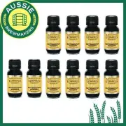 Edwards Essences Butterscotch Schnapps pack of 10