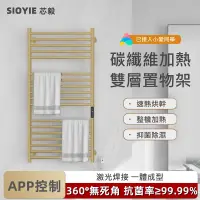 在飛比找蝦皮商城優惠-【SIOYIE 芯毅】110V電熱毛巾架 G319金色 觸控