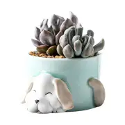 Plant Planter Cute Multi-purpose Ceramic Cactus Container Desk Decor