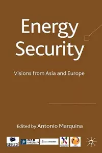 在飛比找博客來優惠-Energy Security