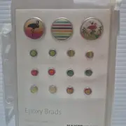Kaisercraft "Pina Colada Collection" - Brad Pack - Scrapbook
