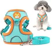 Zunea Small Dog Harness Leash Set No Pull Soft Suede Adjustable Reflective Puppy Vest Harness Lightweight Step-in Cat Harnesses Escape Proof for Walking for Pet Chihuahua Yorkshire Blue S