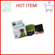 Handy Pantry Organic Cat Grass Kit - Includes 1 Tray, 1 Soil Puck, and Non GMO W