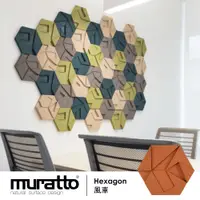 在飛比找PChome24h購物優惠-Muratto 葡萄牙設計牆壁吸音防水造型有機軟木塊22片/