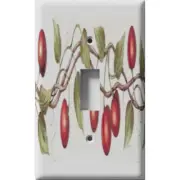 SnazzySwitch Cherry Vine Decorative Light Switch Plate Cover