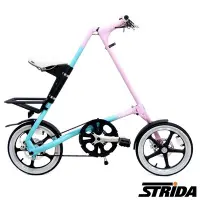 在飛比找Yahoo!奇摩拍賣優惠-小哲居 2022 STRIDA 速立達 LT 全車架EN管材