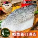 【食在好神】新鮮鱸魚片 400-500G/片(共5片)