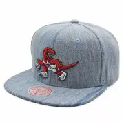 Toronto Raptors NBA Mitchell & Ness Cool Denim Snapback Hat - Light Blue