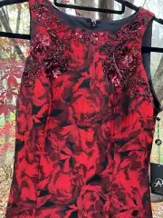 Adrianna Papell Women's Red/Black Size 4 Sequin/Bead Jacquard Gown Sz. 4 $299.00