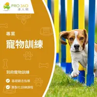 在飛比找momo購物網優惠-【PRO360達人網】到府寵物訓練-狗狗(狗狗寵物訓練單堂)