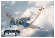 Cannon Hit Spitfire - Canvas Art Print with Spitfire Relic - 18" x 12"