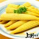 【上野物產】越南進口 冷凍玉米筍 (500g±10%/包)素食/低卡/冷凍蔬菜/玉米粒/花椰菜