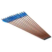 12x 31" PURE CARBON ARROWS FEATHER COMPOUND RECURVE BOW HUNTING TARGET SP500