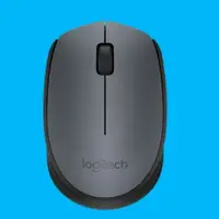 在飛比找蝦皮購物優惠-Logitech  羅技 M170 無線滑鼠-黑