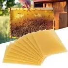 NEW 10Pcs Beeswax Foundation Bee Hive Wax Frames Beekeeping Honeycomb BEST P8P4