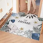 Door Mat, Grabber Mesh Welcome Doormat, Stain and Fade Resistant, Low Profile Entryway Mats for Home Front or Back Entrance(Light Blue,60x90cm)