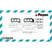 Payen Head Set (VRS) - CH6650