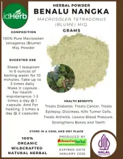 50-500gr POWDER BENALU NANGKA Macrosolen Tetragonus (Blume) Miq. ORGANIC NATURAL