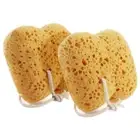 2Pcs Exfoliating Bath Sponges With Dense Foam Design for Gentle Cleansings