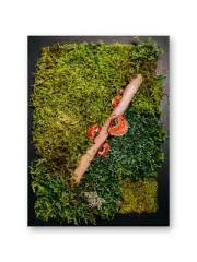 Handmade Preserved Moss Panel with Orange Mushrooms Lichen Wall Art Black Frame