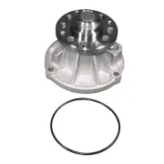 AC Delco 252-885 Engine Water Pump For Select 04-10 Ford Models (for: Ford)