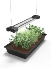DYMOND Boostgro LED Seed Starter Grow Light Full Spectrum Linkable 5000K