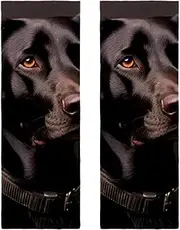 Hand Towels for Bathroom,Gym Towels for Working Out,Sports Towel,Black Dog Outdoors,2-Pc
