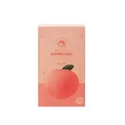 Kombucha - 10 Types Peach