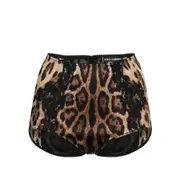 [Dolce & Gabbana] Dolce & Gabbana Leopard-print High-waist Briefs III NUMERIC BLACK/BROWN
