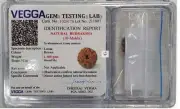 Nepal Rudraksha Ten face 10 mukhi Siddh rudraksha Bead Worship Lab Certified Box