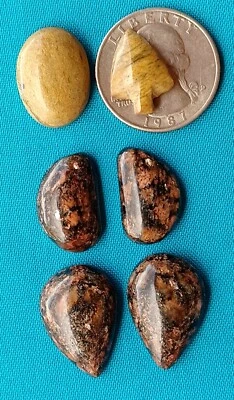 Handmade Petrified Wood Cabochons. Set Of 6