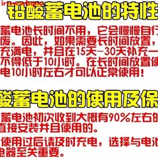 現貨 下殺 臺灣 鑫磊娜兒童電動車電瓶XINLEINA 3-FM-4.5/6V4.5ah/20HR童車蓄電池