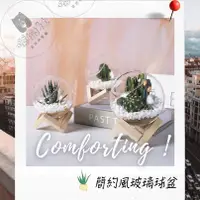 在飛比找蝦皮購物優惠-微景觀生態【台灣現貨】玻璃 花盆【快速出貨】微景觀盆栽 玻璃