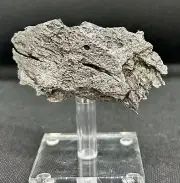 DRONINO ATAXITE IRON METEORITE FROM RUSSIA 161,4 g