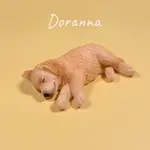 「DORANNA」JXK 現貨 金毛狗 模型 手辦 冰箱磁鐵 仿真動物 汽車擺飾 裝飾品 動物模型 禮物 JS2208B