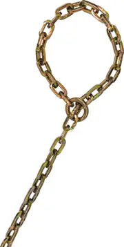 ABUS Chain KS/9 Loop Lock Chain, gold, Size 250 cm for Men