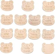 KAILIKETIY Milestone Baby Cards Set 14pcs Wooden Monthly Milestone Discs Baby Announcement Party