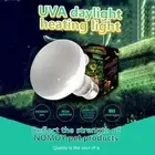 Lizard Heater Heat Lamp UVA Light Basking Light Reptile Halogen Bulb