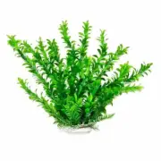 PD-BH09 Hygro-like 16in weighted base Bag & Header, Green