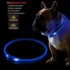 Rechargeable LED Light-Up Flash Glow Collar Dog Pet Usb Micro Adjustable O9A0