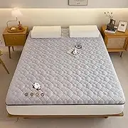 Adult Futon Mattress, Portable Dormitory Sleeping Mat, Japanese Style Portable Camping Sofa Cushion, Single and Double Foldable Sleeping Mat