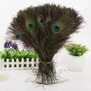 20/50PCS Real Peacock Eye Feathers For DIY Craft, Wedding Decoration Plumes AU