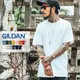 【Gildan 】台灣正版公司貨 經典 純棉 素面 短袖 T恤 短T【G廠】(76000)