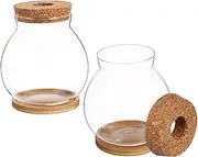 GAROZATION 2 Sets Plant Propagation Glass Vase of Hydroponic Terrarium with Bamboo Tray for Home Office Decor Durable Low Maintenance Flower Display