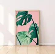 Palm Leaf Monstera 50x70cm Poster Premium Quality