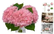 4-Packet Pink Hydrangea Artificial Flowers in Vase Silk Faux Hydrangea Bb-pink
