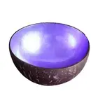 Coconut Shell Bowls Multicolor Hand-painted Household Salad Noodle Rice Bowls