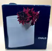 VTG IITALA TAPIO WIRKALA Ovalis Glass Vase 3036 Finland Scandinavian New in Box